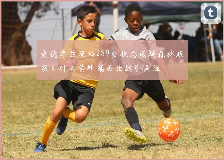 爱德华兹场均289分状态成疑森林狼明日对决黄蜂能否出战引关注